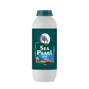 Sea Pearl
