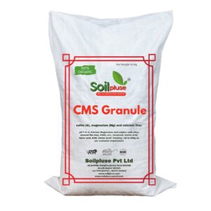CMS Granule