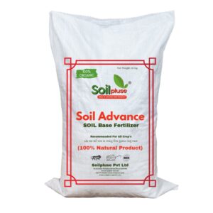 Soil Advance - Soil Base Fertilizer